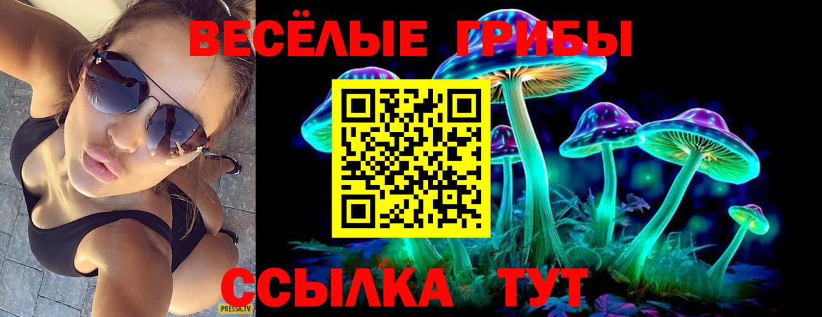 Галлюциногенные грибы прущие грибы Йошкар-Ола