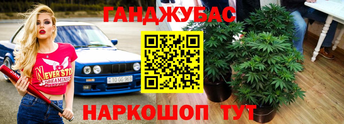 Бошки Шишки сатива Йошкар-Ола